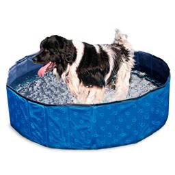 Doggy Pool För hundar i blått